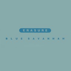 Blue Savannah - LCD Sleeve